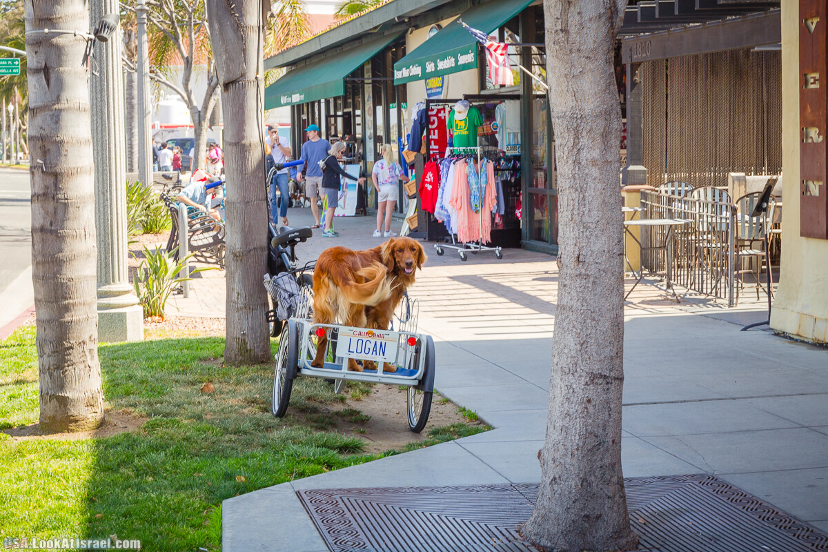 Сан Диего | LookAtIsrael.com - Фото путешествия по Израилю