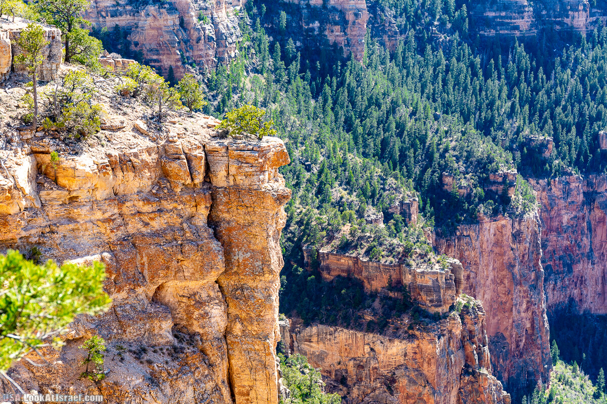 Гранд Каньон | Grand Canyon | LookAtIsrael.com - Фото путешествия по Израилю