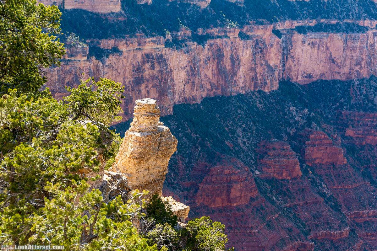 Гранд Каньон | Grand Canyon | LookAtIsrael.com - Фото путешествия по Израилю