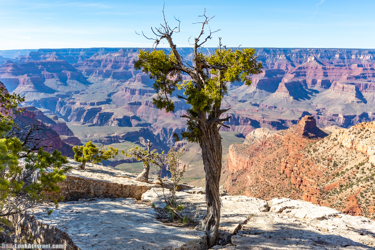 Гранд Каньон | Grand Canyon | LookAtIsrael.com - Фото путешествия по Израилю