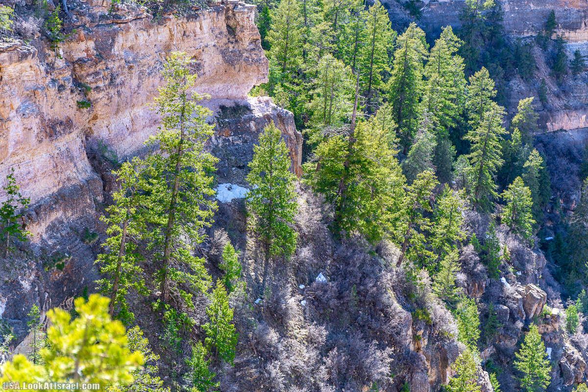 Гранд Каньон | Grand Canyon | LookAtIsrael.com - Фото путешествия по Израилю