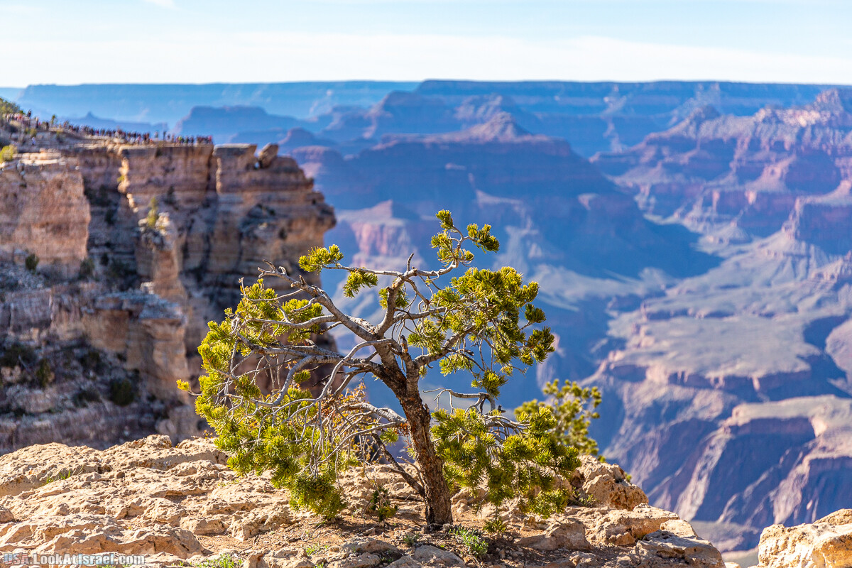 Гранд Каньон | Grand Canyon | LookAtIsrael.com - Фото путешествия по Израилю