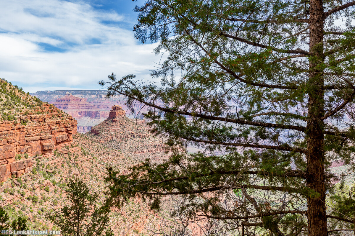 Гранд Каньон | Grand Canyon | LookAtIsrael.com - Фото путешествия по Израилю