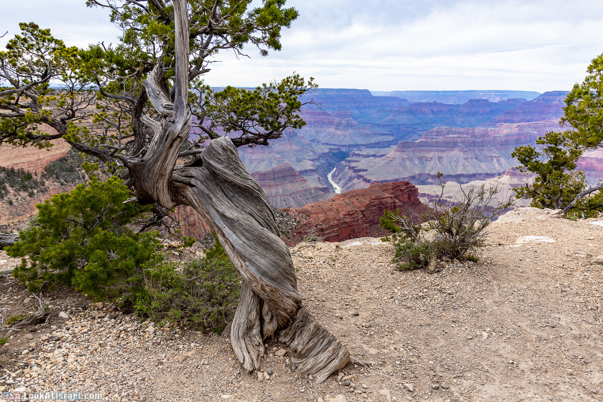 Гранд Каньон | Grand Canyon | LookAtIsrael.com - Фото путешествия по Израилю