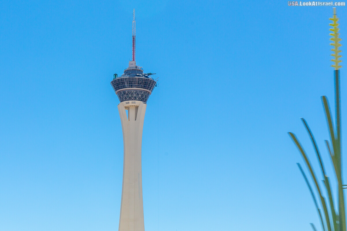 Вива Лас Вегас | LookAtIsrael.com - Фото путешествия по Израилю