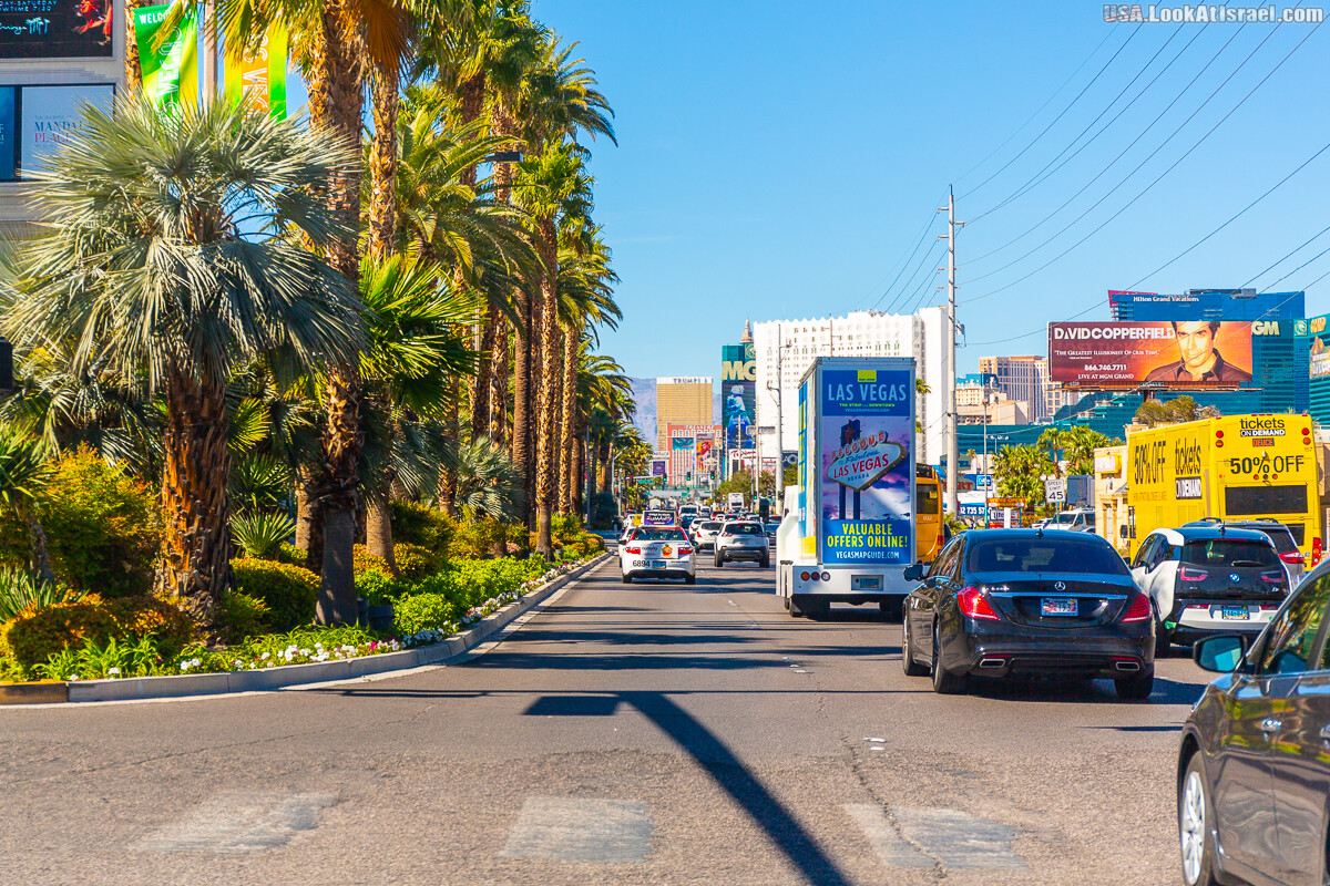 Вива Лас Вегас | LookAtIsrael.com - Фото путешествия по Израилю