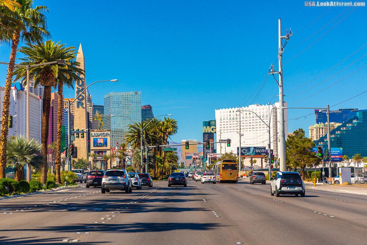 Вива Лас Вегас | LookAtIsrael.com - Фото путешествия по Израилю