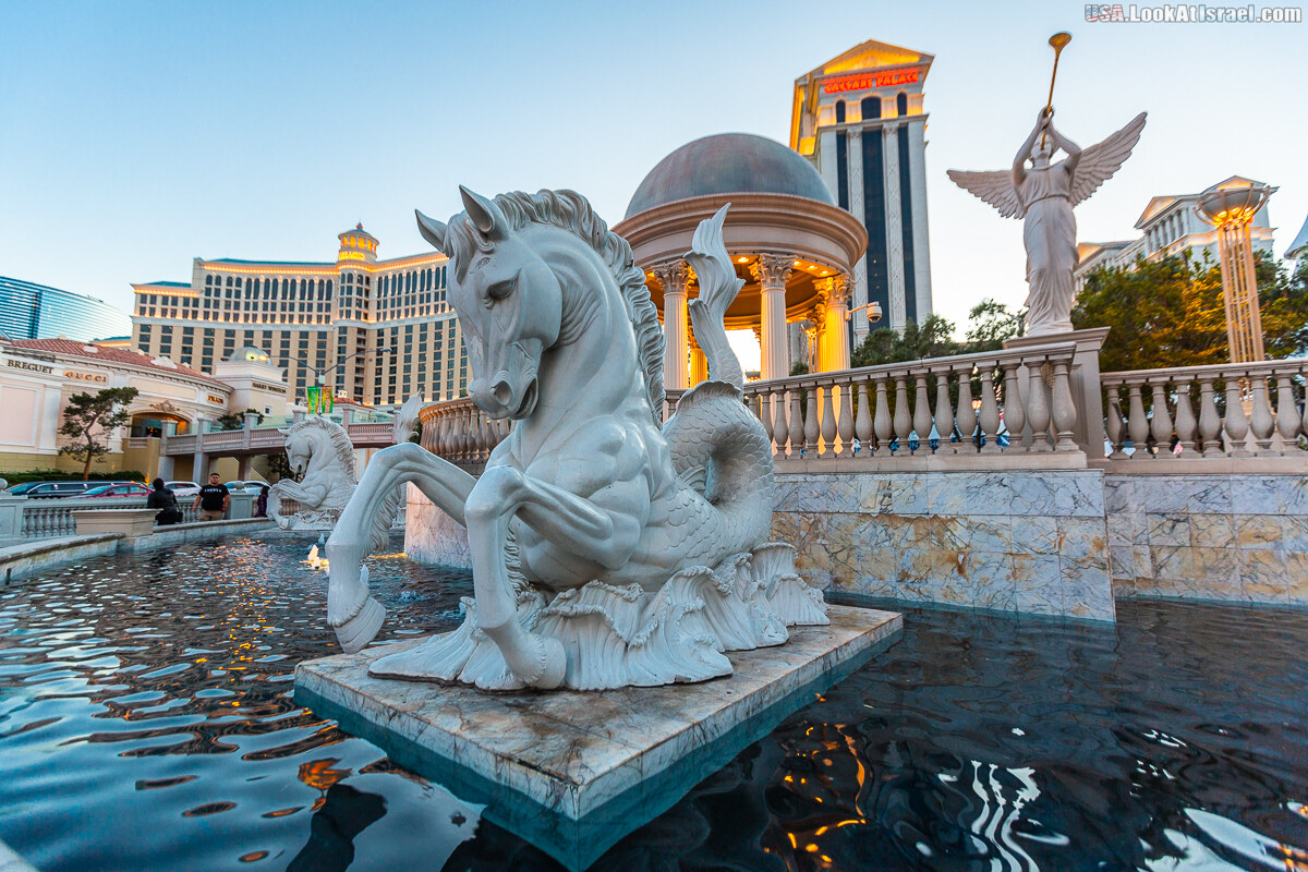 Вива Лас Вегас | LookAtIsrael.com - Фото путешествия по Израилю
