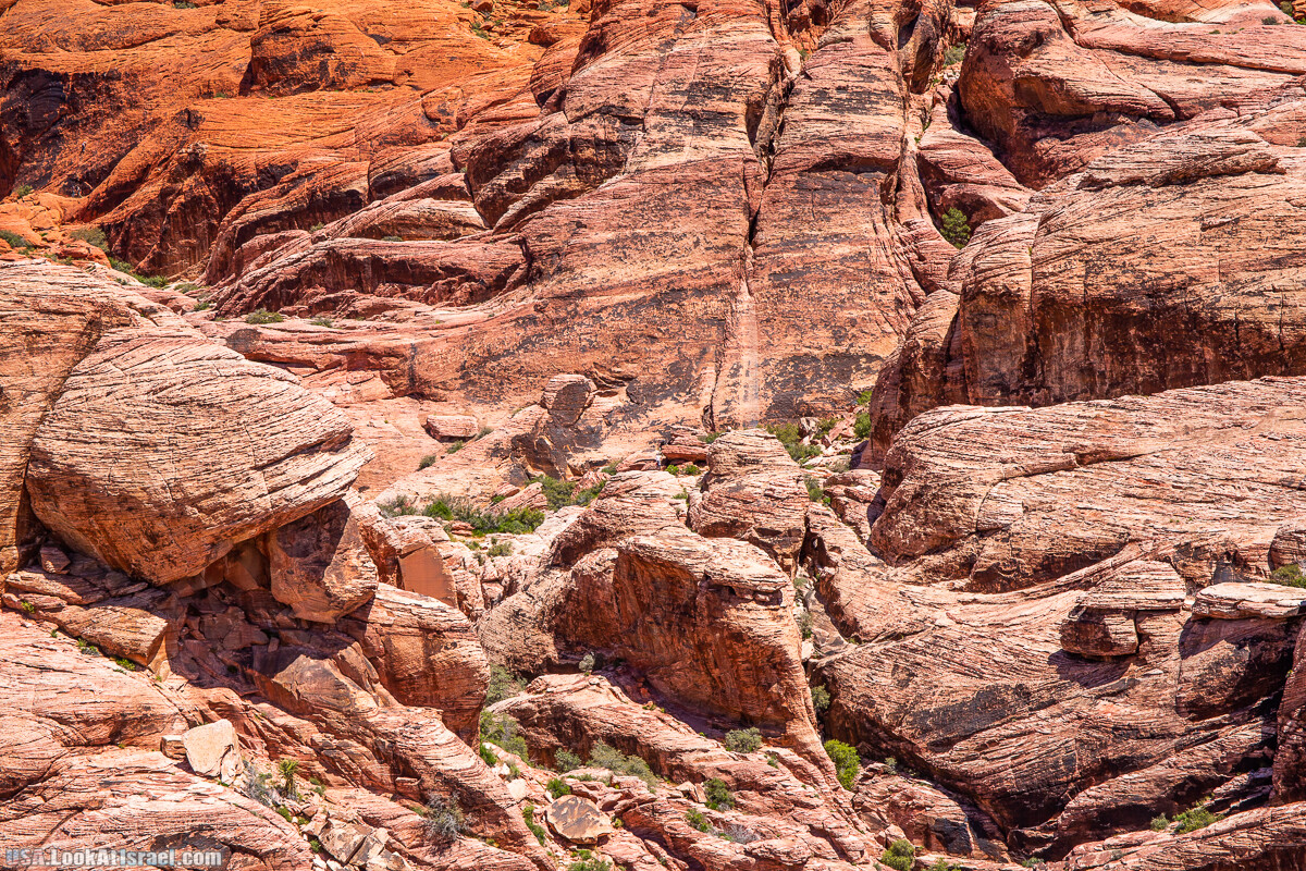 Каньон Red Rock в Лас-Вегас Вегасе | LookAtIsrael.com - Фото путешествия по Израилю