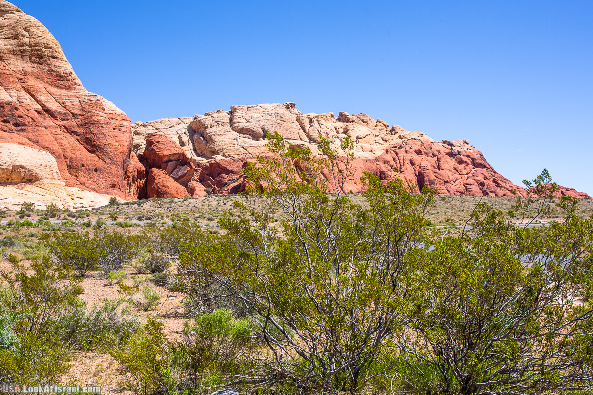 Каньон Red Rock в Лас-Вегас Вегасе | LookAtIsrael.com - Фото путешествия по Израилю