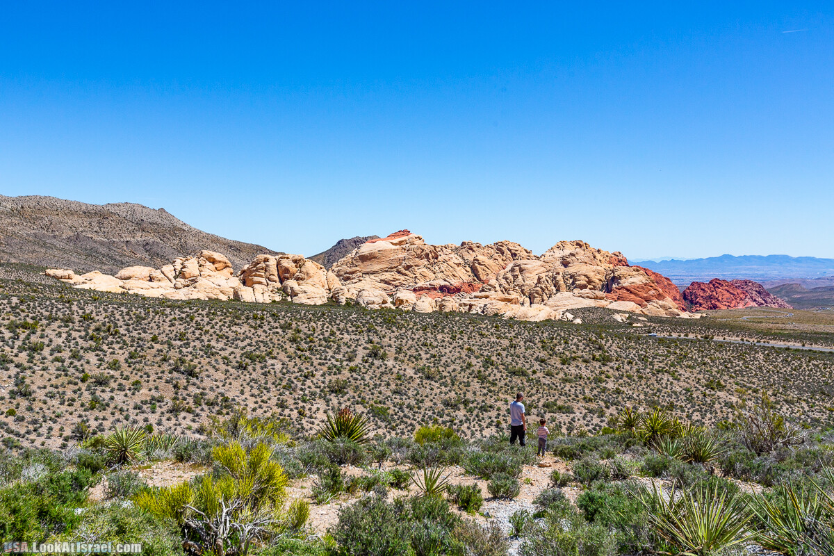 Каньон Red Rock в Лас-Вегас Вегасе | LookAtIsrael.com - Фото путешествия по Израилю