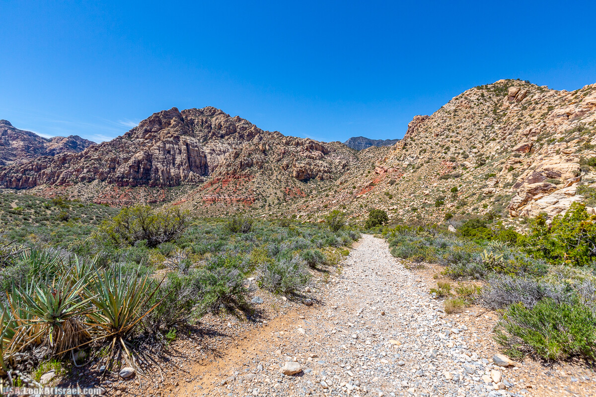 Каньон Red Rock в Лас-Вегас Вегасе | LookAtIsrael.com - Фото путешествия по Израилю