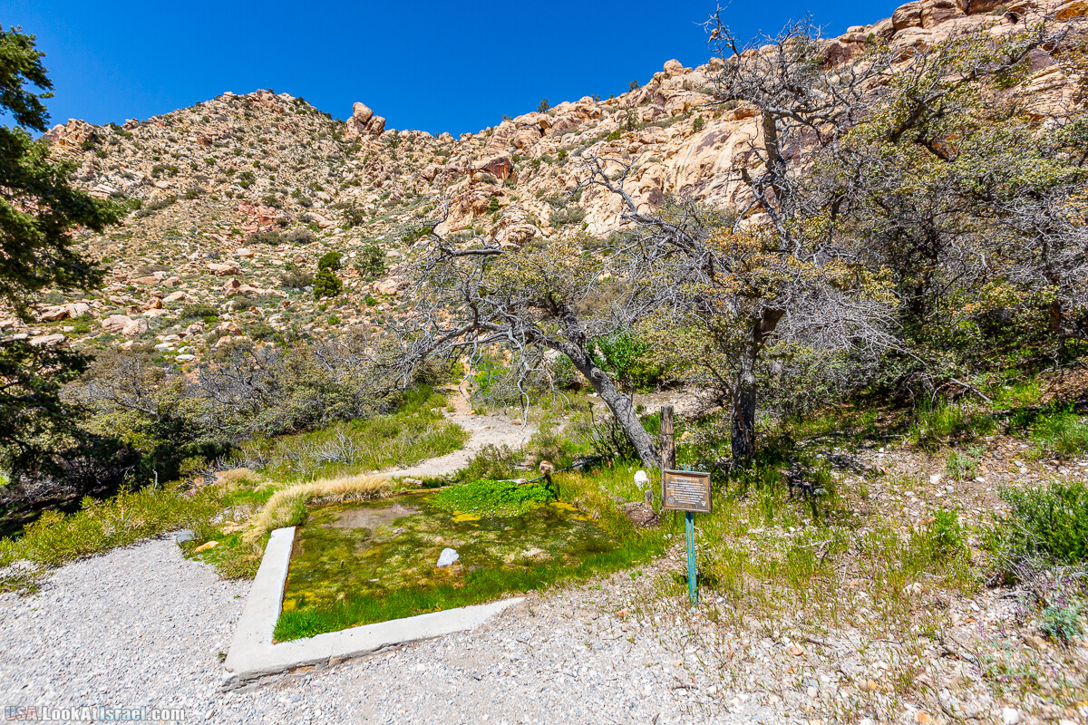 Каньон Red Rock в Лас-Вегас Вегасе | LookAtIsrael.com - Фото путешествия по Израилю