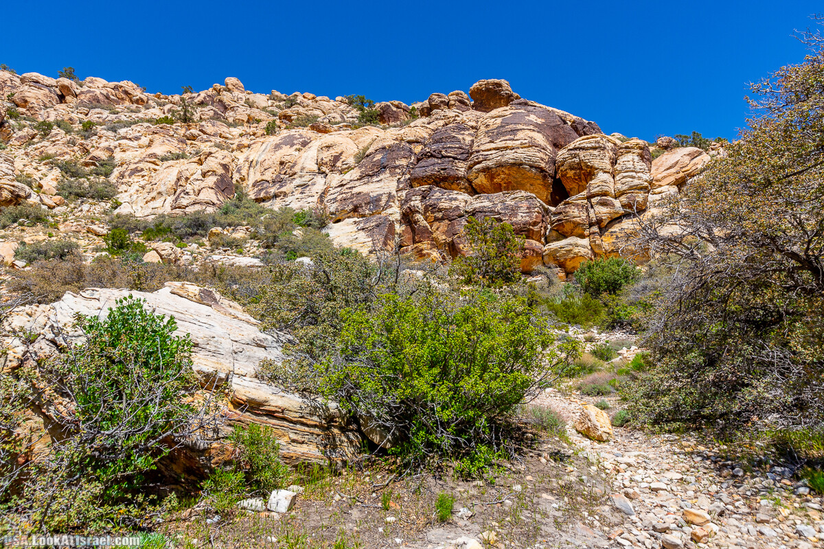 Каньон Red Rock в Лас-Вегас Вегасе | LookAtIsrael.com - Фото путешествия по Израилю