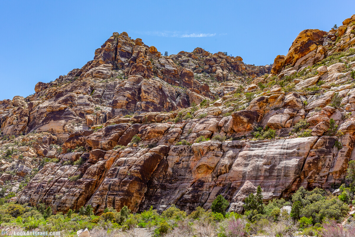 Каньон Red Rock в Лас-Вегас Вегасе | LookAtIsrael.com - Фото путешествия по Израилю