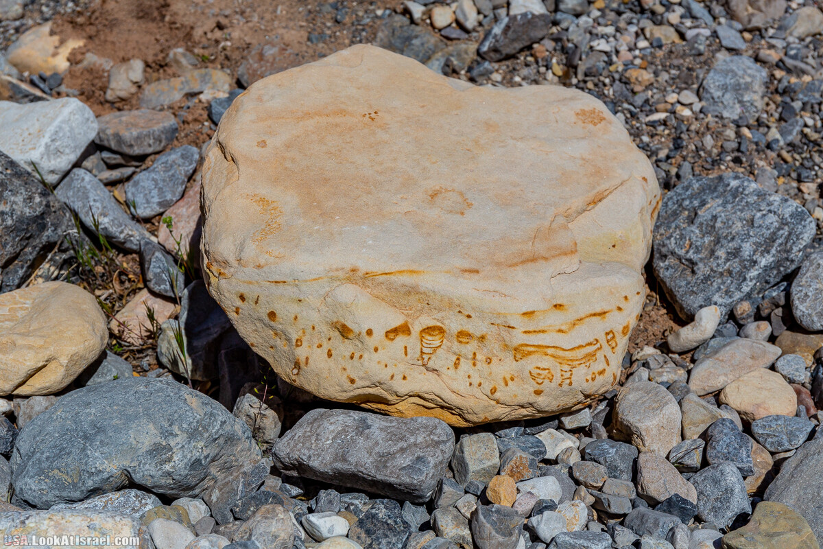 Каньон Red Rock в Лас-Вегас Вегасе | LookAtIsrael.com - Фото путешествия по Израилю