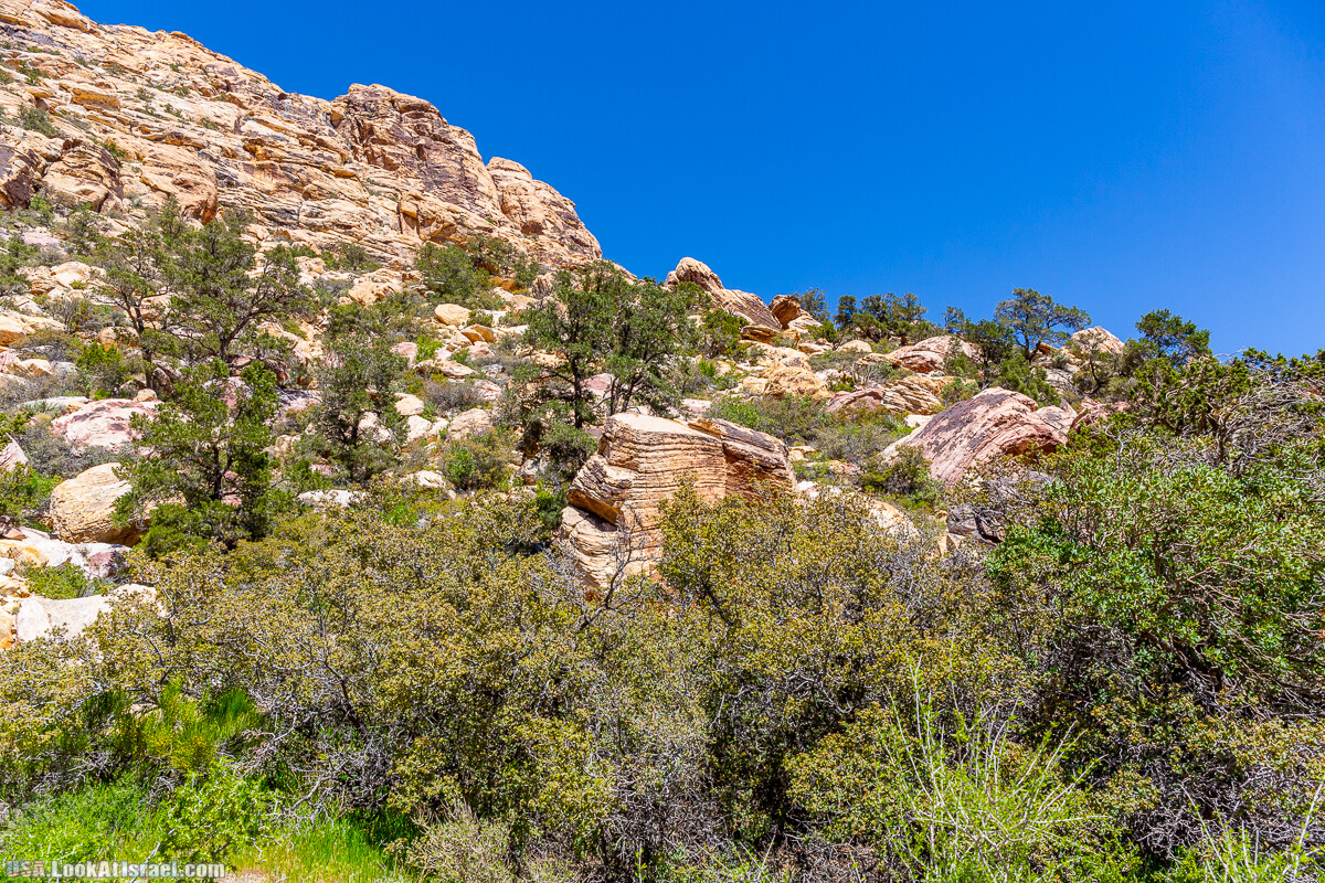Каньон Red Rock в Лас-Вегас Вегасе | LookAtIsrael.com - Фото путешествия по Израилю