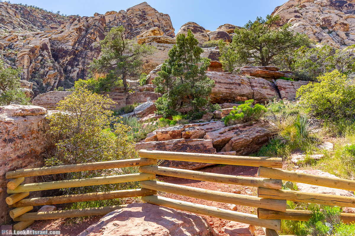 Каньон Red Rock в Лас-Вегас Вегасе | LookAtIsrael.com - Фото путешествия по Израилю