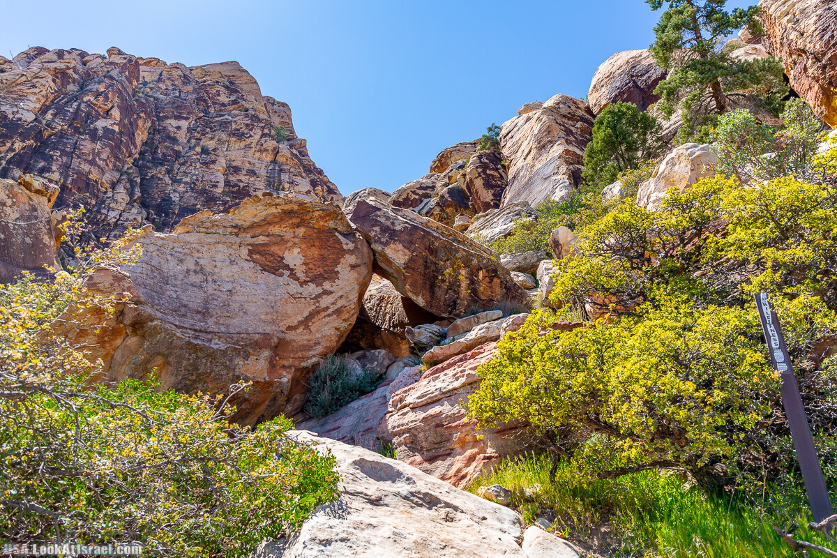Каньон Red Rock в Лас-Вегас Вегасе | LookAtIsrael.com - Фото путешествия по Израилю