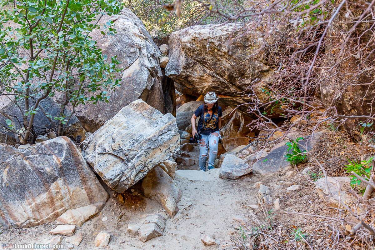 Каньон Red Rock в Лас-Вегас Вегасе | LookAtIsrael.com - Фото путешествия по Израилю