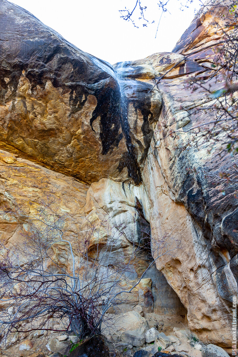 Каньон Red Rock в Лас-Вегас Вегасе | LookAtIsrael.com - Фото путешествия по Израилю