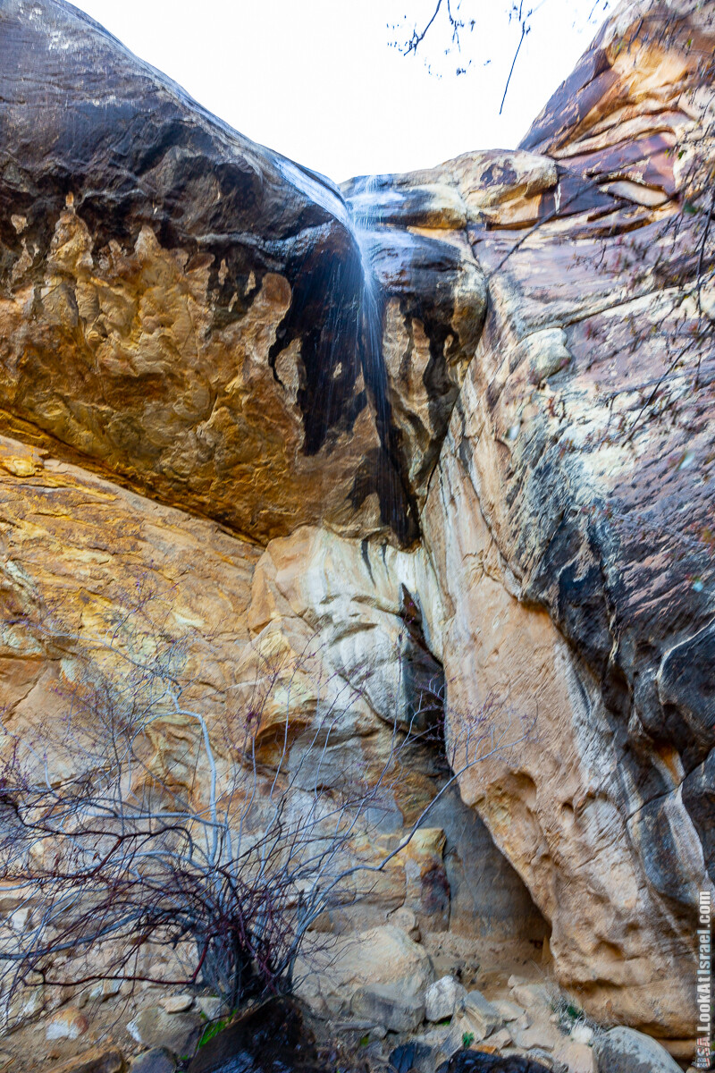 Каньон Red Rock в Лас-Вегас Вегасе | LookAtIsrael.com - Фото путешествия по Израилю