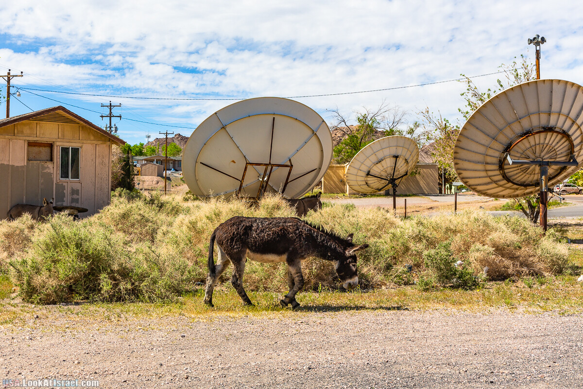 Долина Смерти и провинциальный Битти | Death Valley and Beatty | LookAtIsrael.com - Фото путешествия по Израилю
