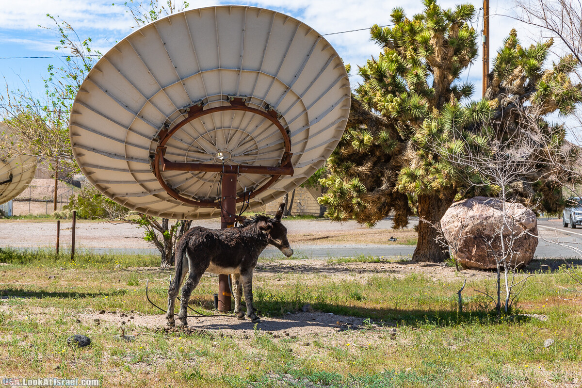 Долина Смерти и провинциальный Битти | Death Valley and Beatty | LookAtIsrael.com - Фото путешествия по Израилю