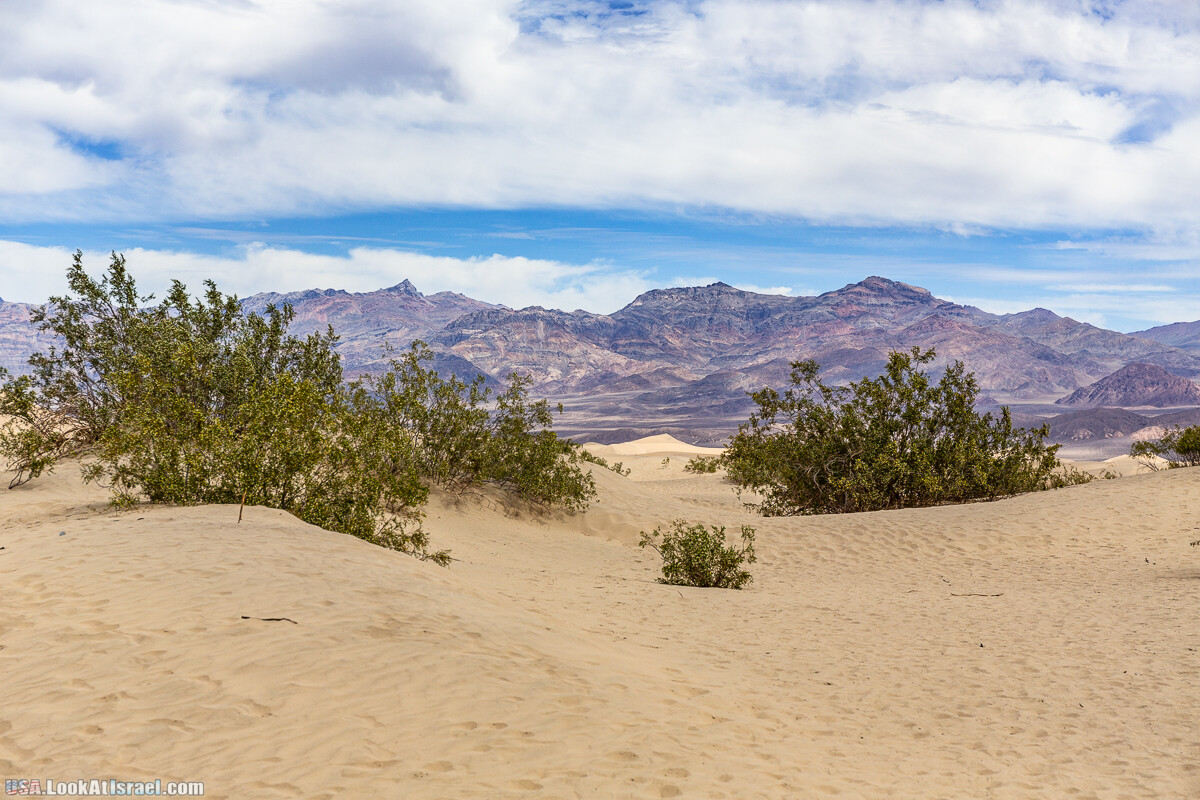 Долина Смерти и провинциальный Битти | Death Valley and Beatty | LookAtIsrael.com - Фото путешествия по Израилю