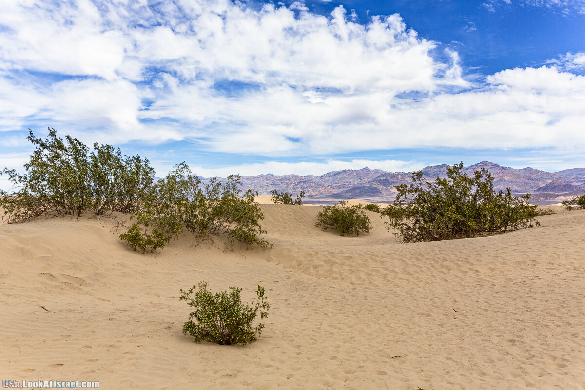 Долина Смерти и провинциальный Битти | Death Valley and Beatty | LookAtIsrael.com - Фото путешествия по Израилю
