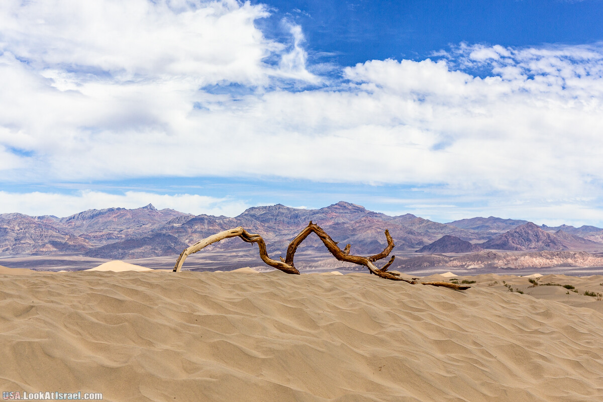 Долина Смерти и провинциальный Битти | Death Valley and Beatty | LookAtIsrael.com - Фото путешествия по Израилю