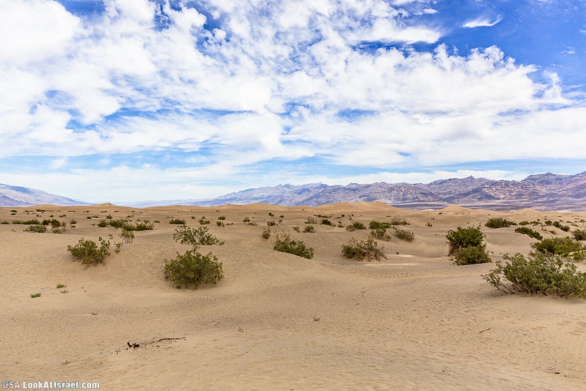 Долина Смерти и провинциальный Битти | Death Valley and Beatty | LookAtIsrael.com - Фото путешествия по Израилю