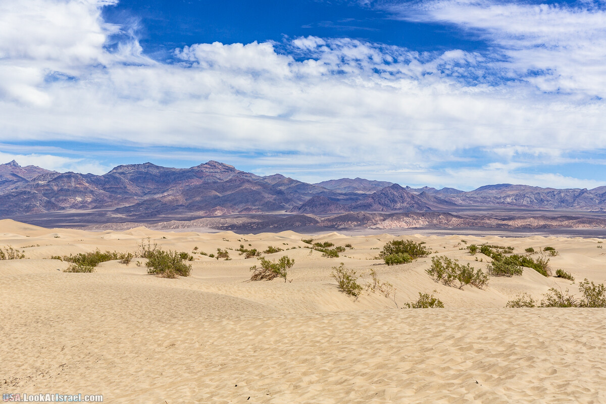 Долина Смерти и провинциальный Битти | Death Valley and Beatty | LookAtIsrael.com - Фото путешествия по Израилю