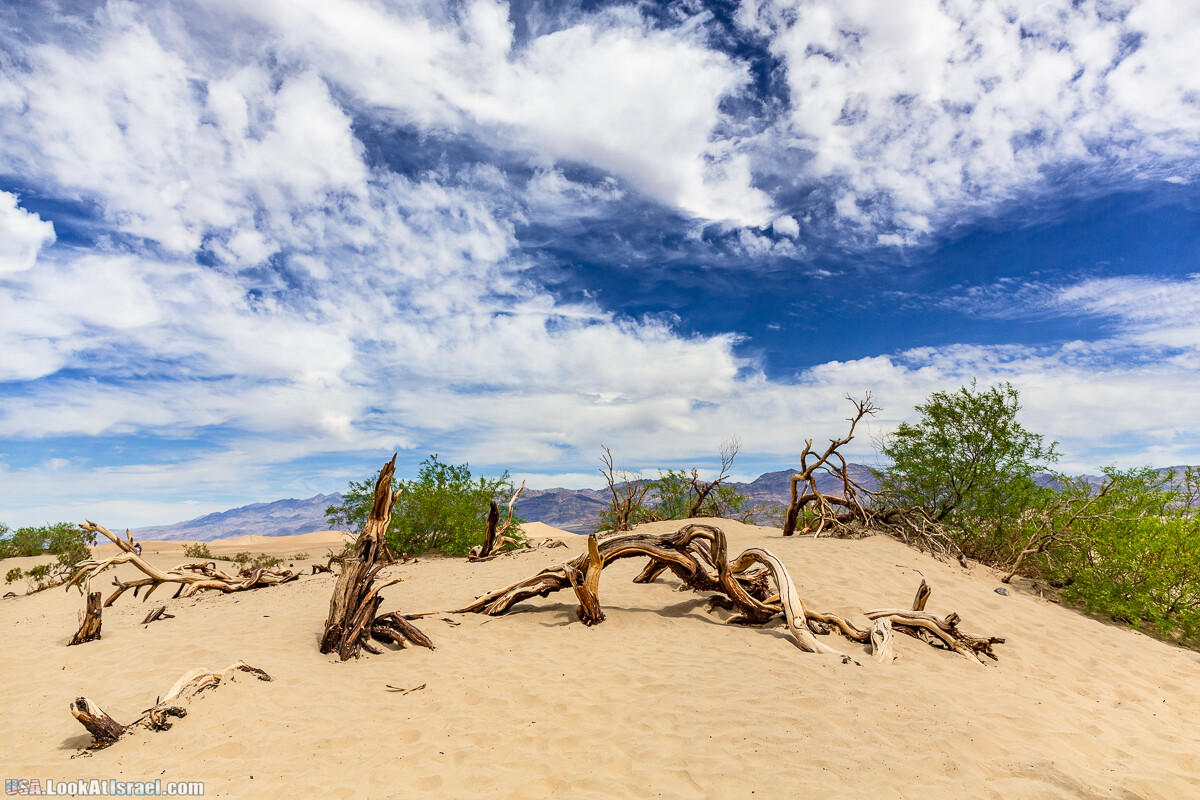 Долина Смерти и провинциальный Битти | Death Valley and Beatty | LookAtIsrael.com - Фото путешествия по Израилю