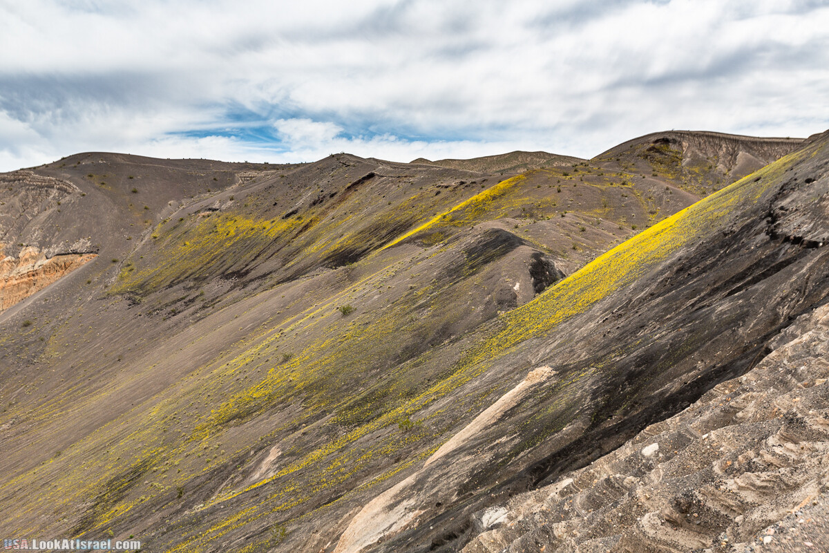 Долина Смерти и провинциальный Битти | Death Valley and Beatty | LookAtIsrael.com - Фото путешествия по Израилю