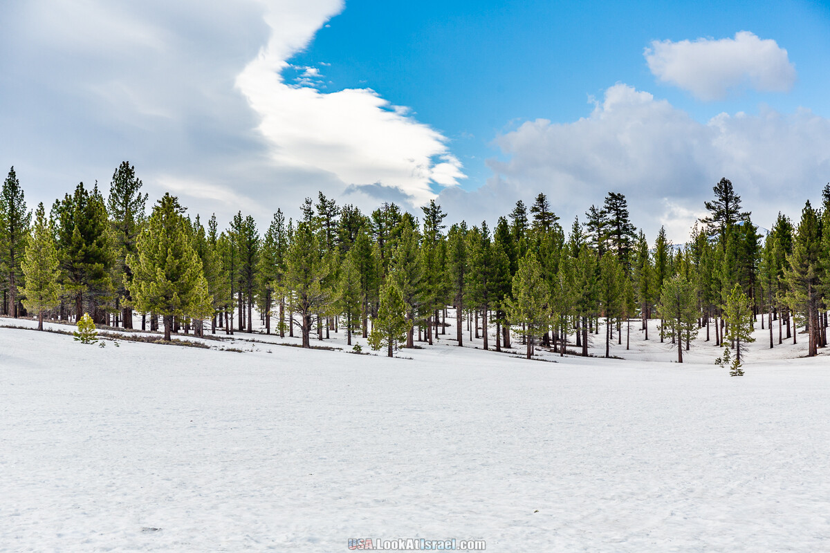 Город Бишоп и дорога в парк Йосемите | LookAtIsrael.com - Фото путешествия по Израилю