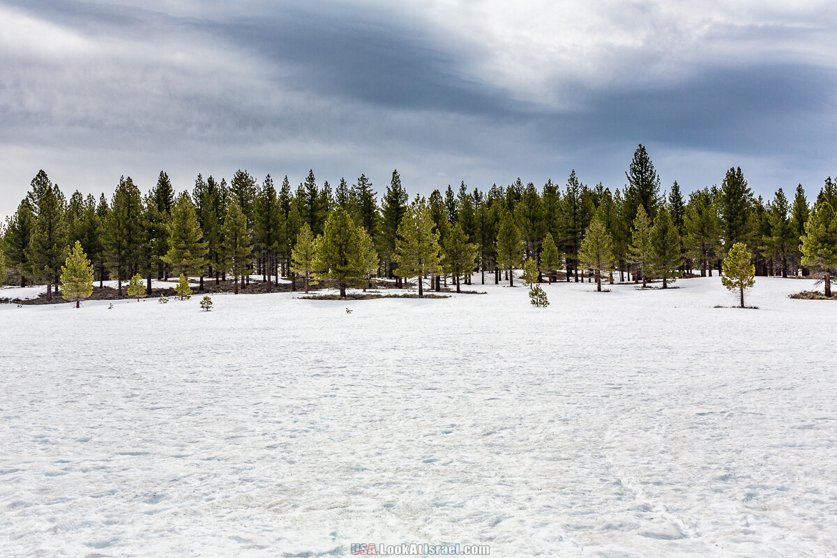 Город Бишоп и дорога в парк Йосемите | LookAtIsrael.com - Фото путешествия по Израилю