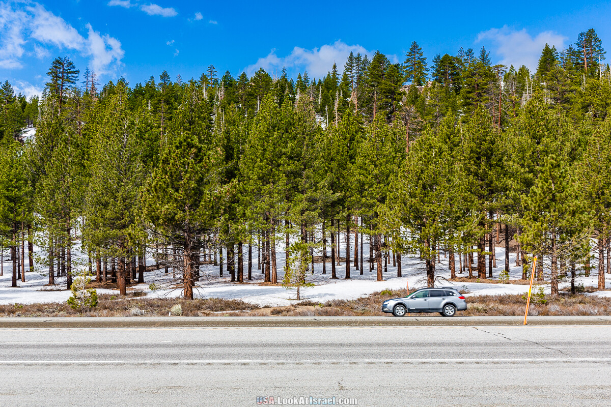 Город Бишоп и дорога в парк Йосемите | LookAtIsrael.com - Фото путешествия по Израилю