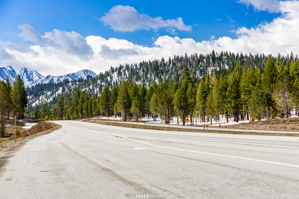 Город Бишоп и дорога в парк Йосемите | LookAtIsrael.com - Фото путешествия по Израилю