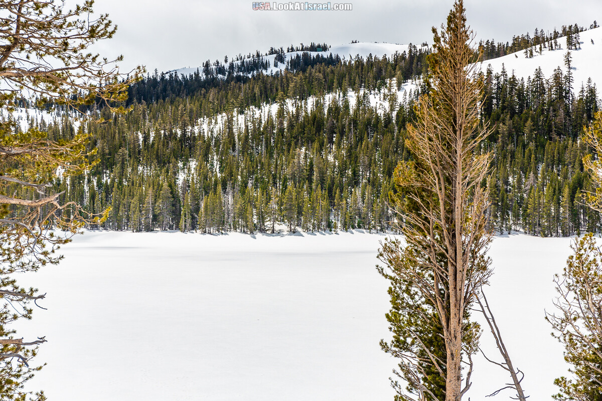 Город Бишоп и дорога в парк Йосемите | LookAtIsrael.com - Фото путешествия по Израилю