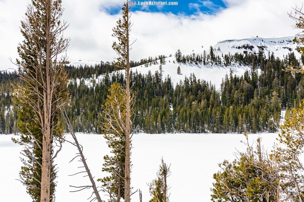 Город Бишоп и дорога в парк Йосемите | LookAtIsrael.com - Фото путешествия по Израилю