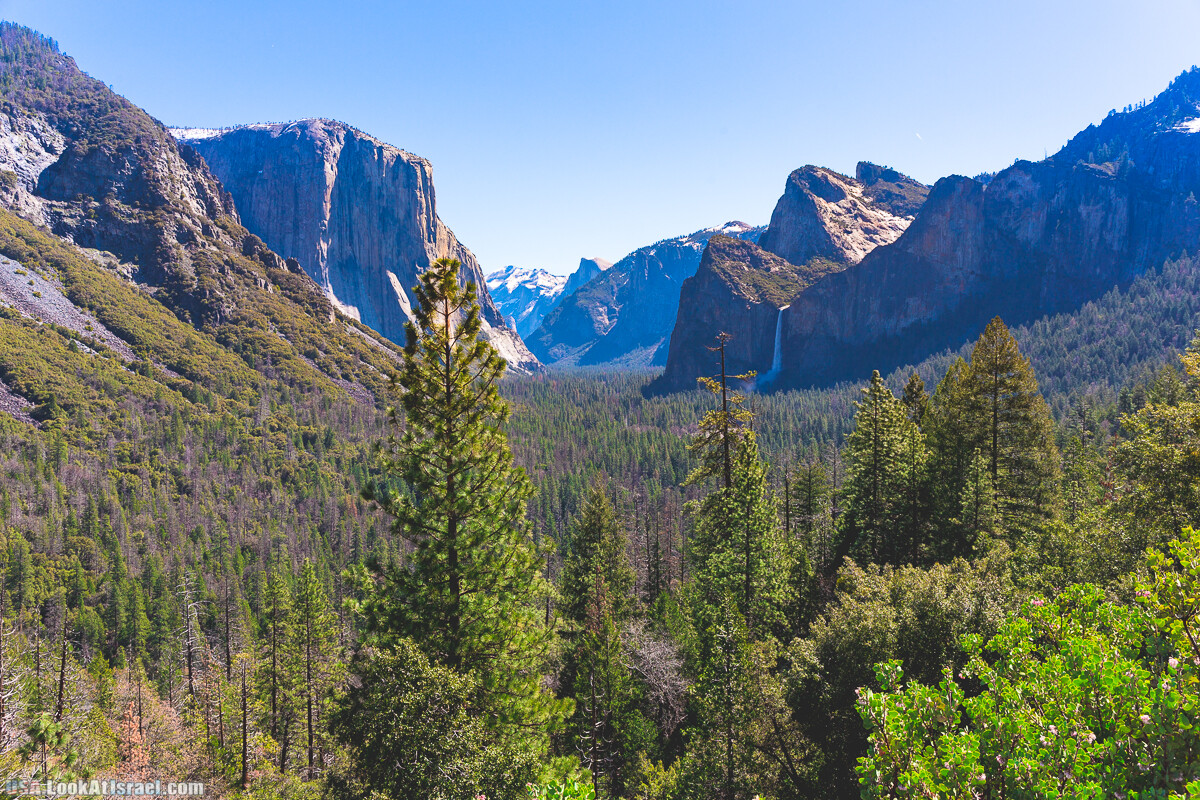 парк Йосемимти