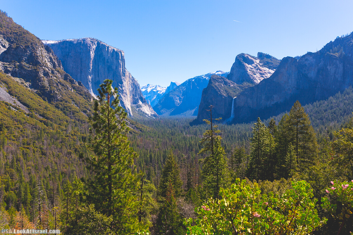 Национальный парк Йосемите | Yosemite National Park | LookAtIsrael.com - Фото путешествия по Израилю