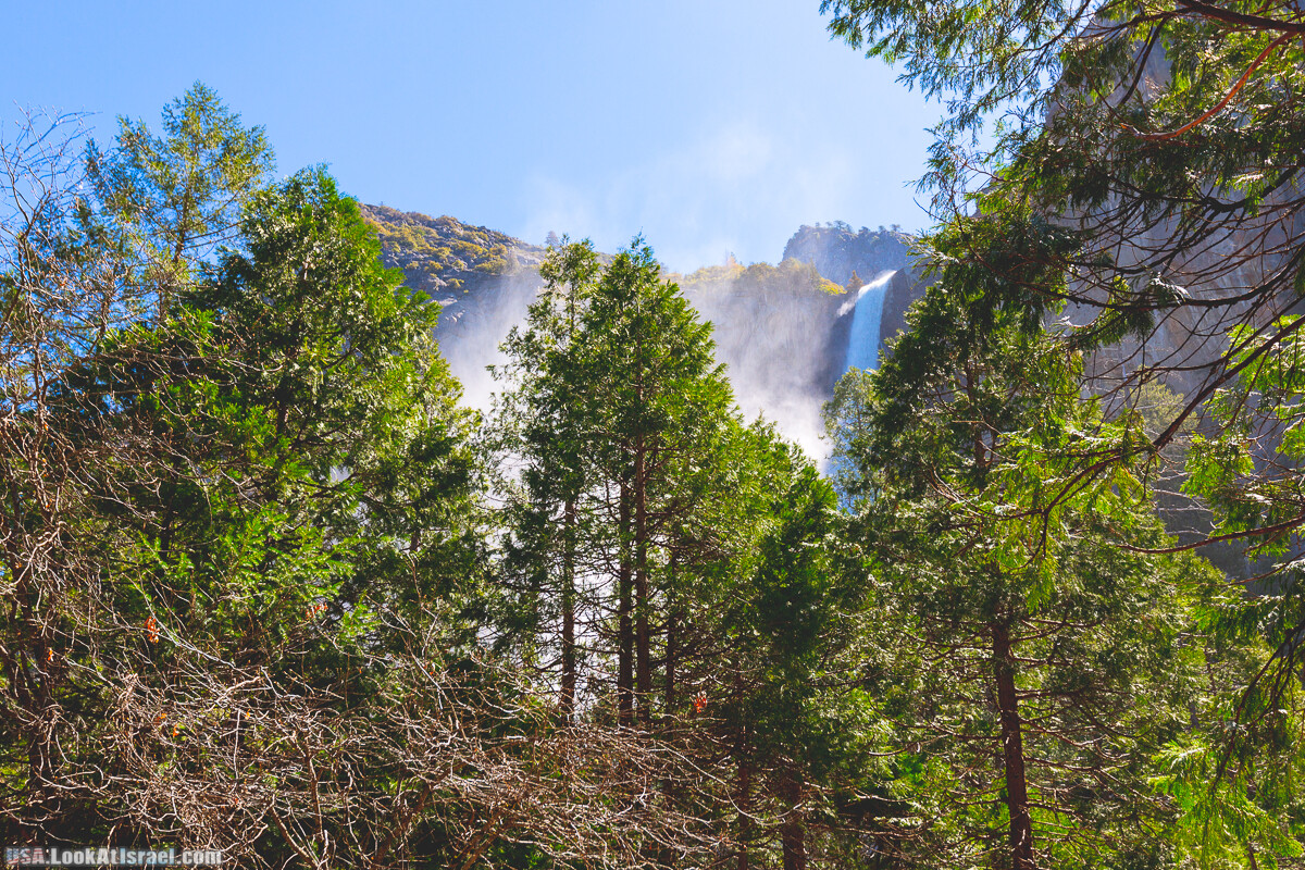 Национальный парк Йосемите | Yosemite National Park | LookAtIsrael.com - Фото путешествия по Израилю