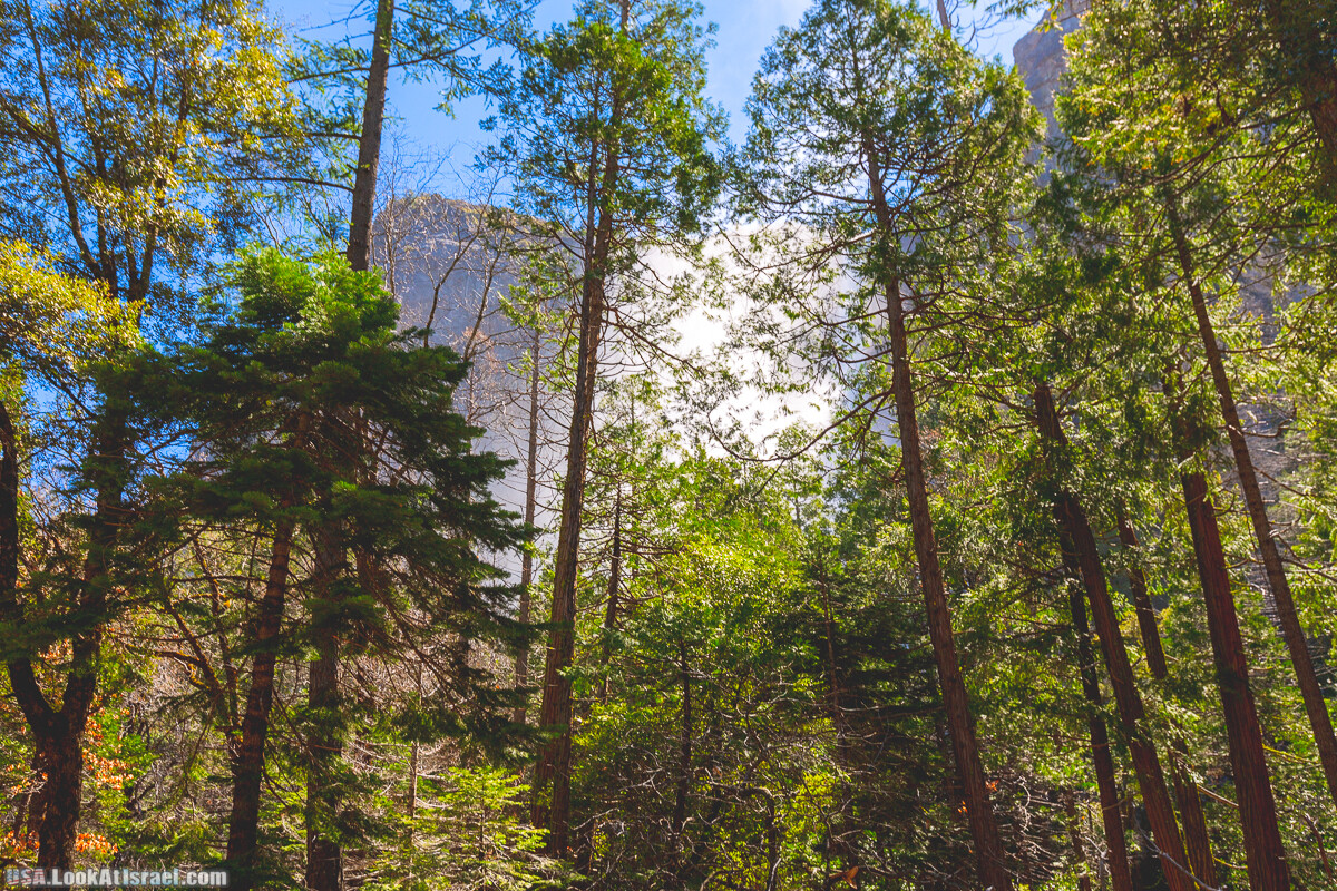 Национальный парк Йосемите | Yosemite National Park | LookAtIsrael.com - Фото путешествия по Израилю