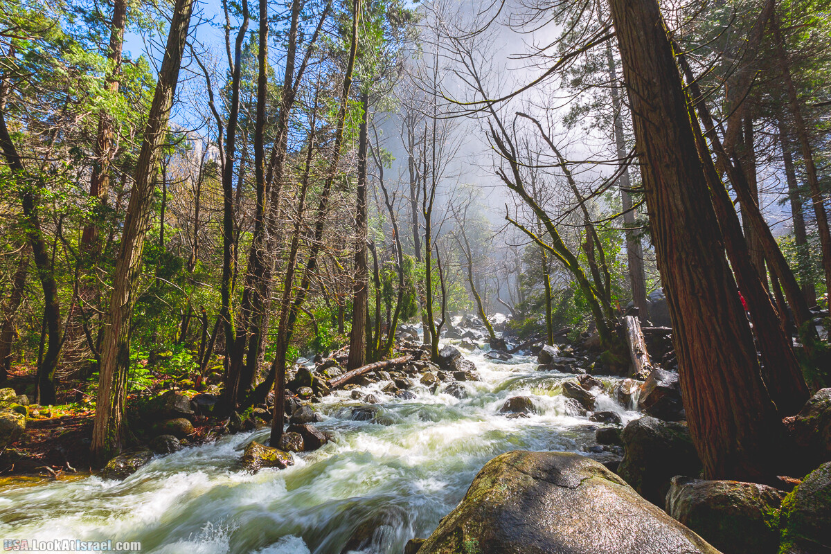 Национальный парк Йосемите | Yosemite National Park | LookAtIsrael.com - Фото путешествия по Израилю