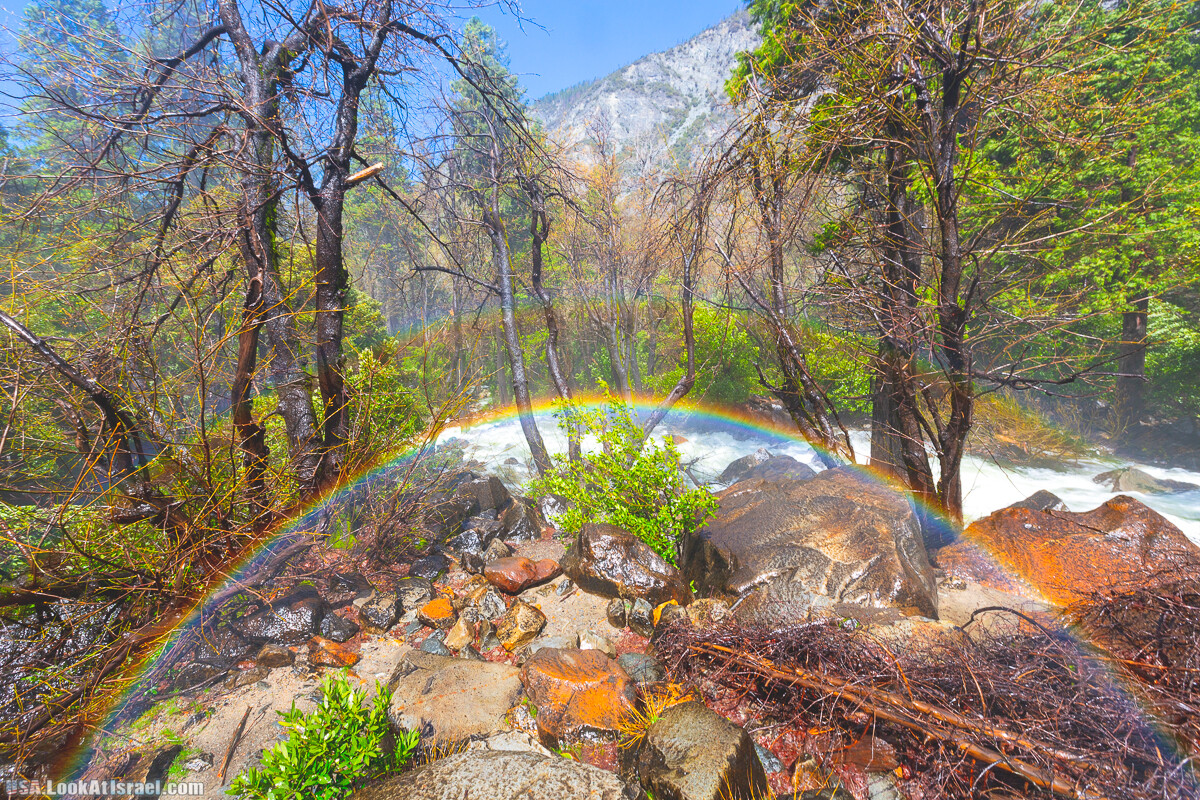 Национальный парк Йосемите | Yosemite National Park | LookAtIsrael.com - Фото путешествия по Израилю