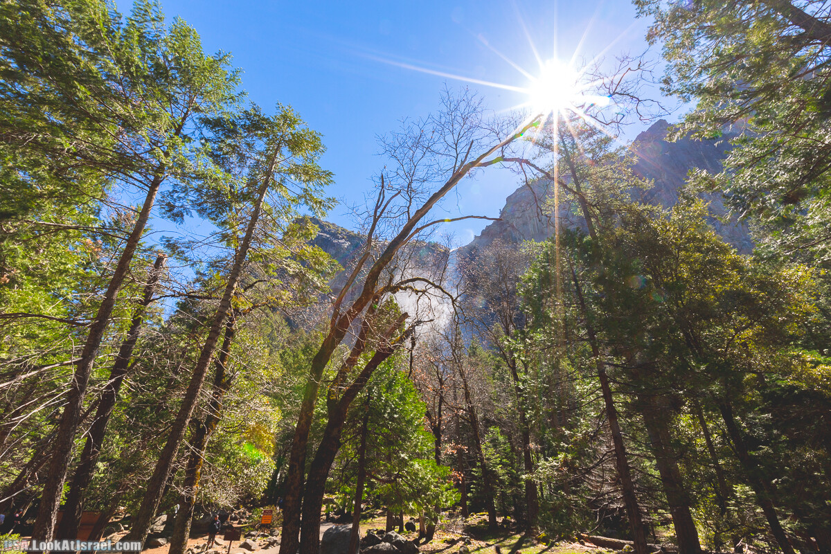 Национальный парк Йосемите | Yosemite National Park | LookAtIsrael.com - Фото путешествия по Израилю