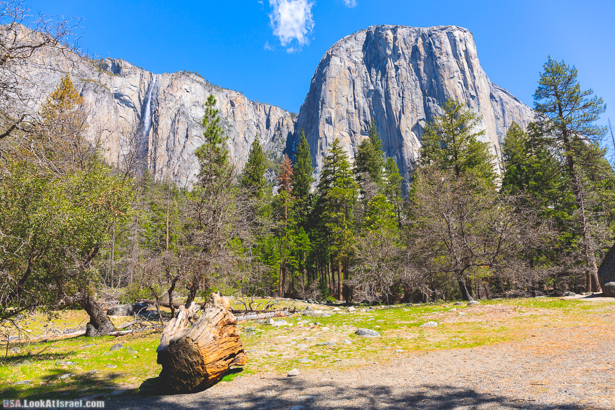 Национальный парк Йосемите | Yosemite National Park | LookAtIsrael.com - Фото путешествия по Израилю