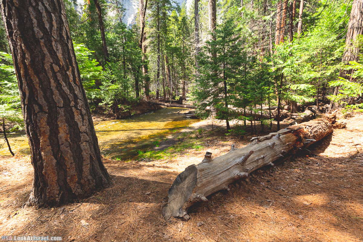 Национальный парк Йосемите | Yosemite National Park | LookAtIsrael.com - Фото путешествия по Израилю